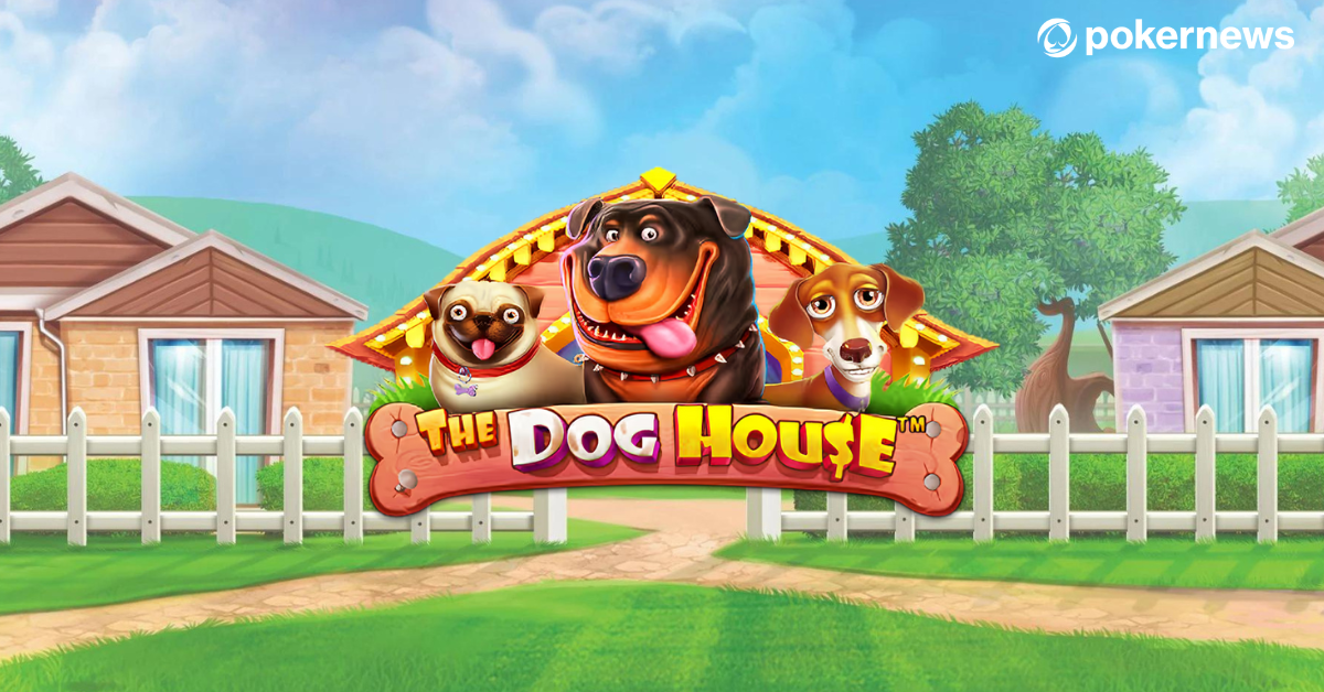 The Dog House — слот от Pragmatic Play